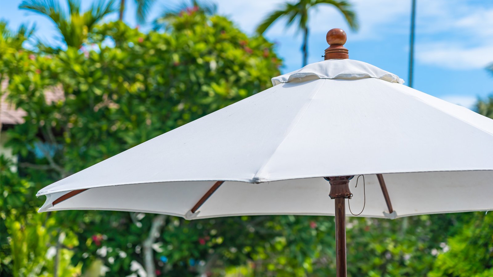 Awnings, Canopies & Umbrellas